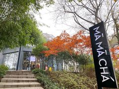 -MAMACHA妈妈茶(岳麓山店)