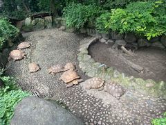 -上海野生动物园