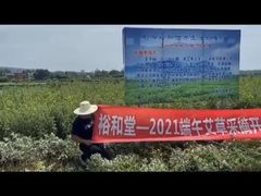 -裕和堂中医推拿艾灸(太古汇臻品店)