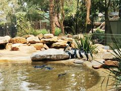 -费瑟代尔野生动物园