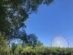 -青城公园