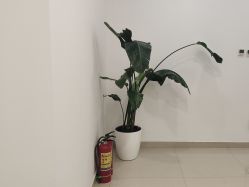 -澳尔颜选医疗美容