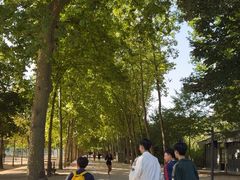 -卢森堡公园