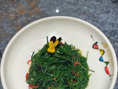-百草滩羊清水涮羊肉·清真·宁夏盐池滩羊(莲花桥店)