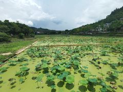 -红山村
