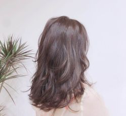 -渼树MSUTREE连锁沙龙