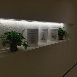 -美丽妈妈产后恢复中心(三林店)