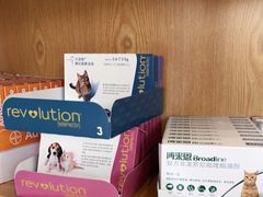 -关爱宠物医院·猫科中心·消化科(滨湖万达分院)