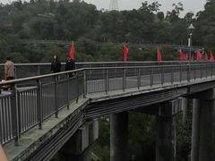 -金鸡山公园