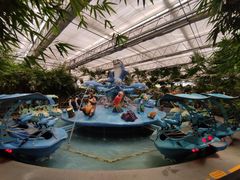 -南宫五洲植物乐园