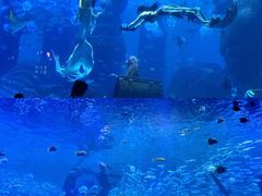 -波塞冬海底世界
