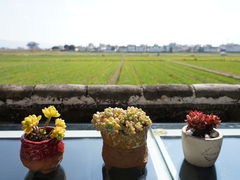 -喜林苑·稻田餐厅(品相府店)