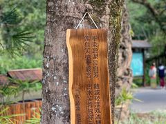 -中国科学院西双版纳热带植物园