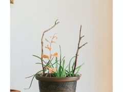 -维乐口腔医院(星海湾分院)