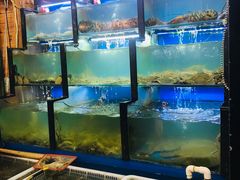 -老东镇啤酒屋海鲜加工·蒸汽海鲜·海鲜烧烤(台东店)