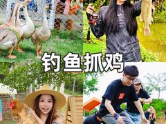 -上海山野camping·户外天幕烧烤·团建拓展营地