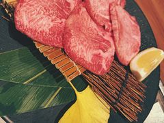 -俺的焼肉(銀座9丁目店)