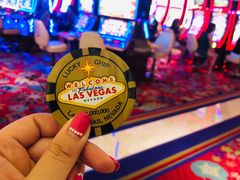 -拉斯维加斯永利酒店