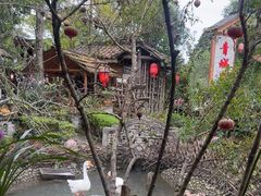 -青城甲(青城山店)