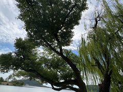 -南北湖风景区