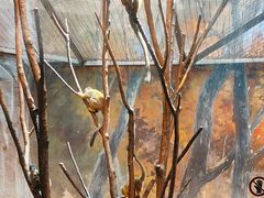 -泉城欧乐堡海洋极地世界