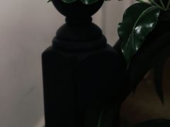 -椿Growth