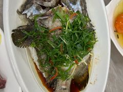 -众味海鲜大排档·活海鲜·潮汕味(南澳店)