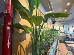 -Wagas沃歌斯(汇智店)