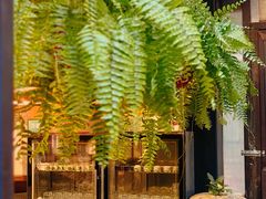 -野蔓果·山野菜(西湖景区·龙井茶田店)