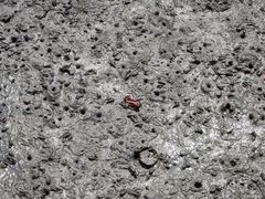 -北海金海湾红树林生态旅游区