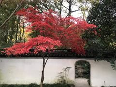 -汇龙潭