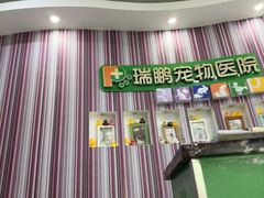 -瑞鹏·疫苗·绝育·宠物医院(金沙洲店)