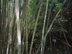 -鲤鱼塘农家山庄
