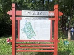 -东郊湿地公园