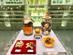 -北京中医药大学-中医药博物馆