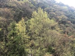 -天明山温泉大酒店