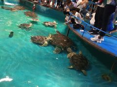 -泉城欧乐堡海洋极地世界