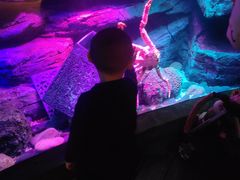 -沈阳海洋探索中心