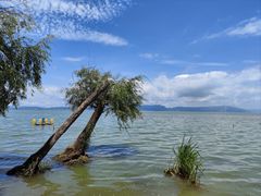 -捞渔河湿地公园