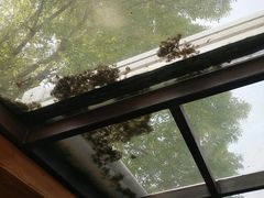 -VOYAGE COFFEE(北锣鼓巷店)