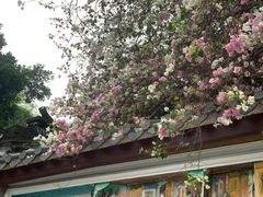 -深圳国际园林花卉博览园