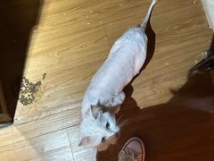 -肯德基(学院路店)