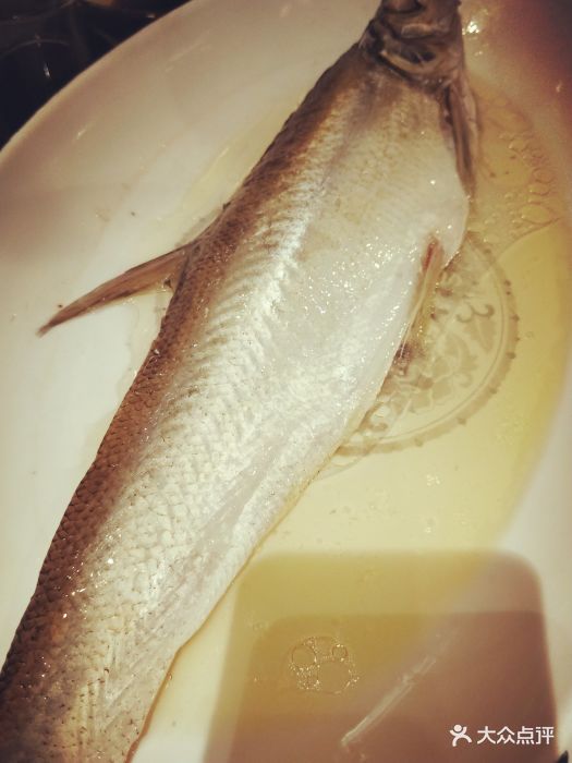南京大牌档(崇文门国瑞店)清蒸长江白鱼图片