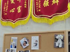 -瑞鹏宠物医院华南总院·夜诊·心脏科·骨科