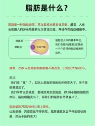 -Fundi张玉珊修身堂·indiba·BTL科技瘦身