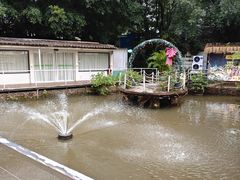 -芭厘农庄老字号·清远鸡
