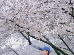 -杭州少年儿童公园