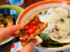 -TOMATITO(无限极荟店)