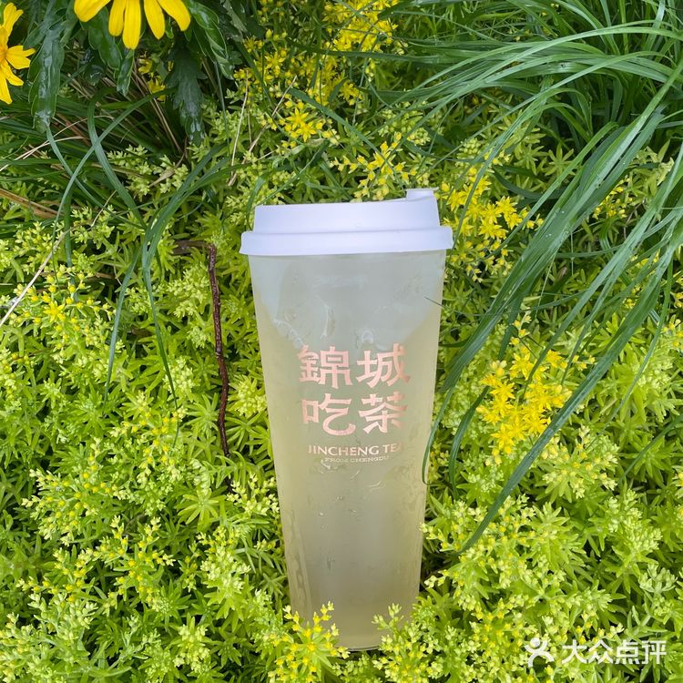 锦城吃茶的春日新品,我不允许你们没喝过!