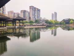 -洋湖国家湿地公园